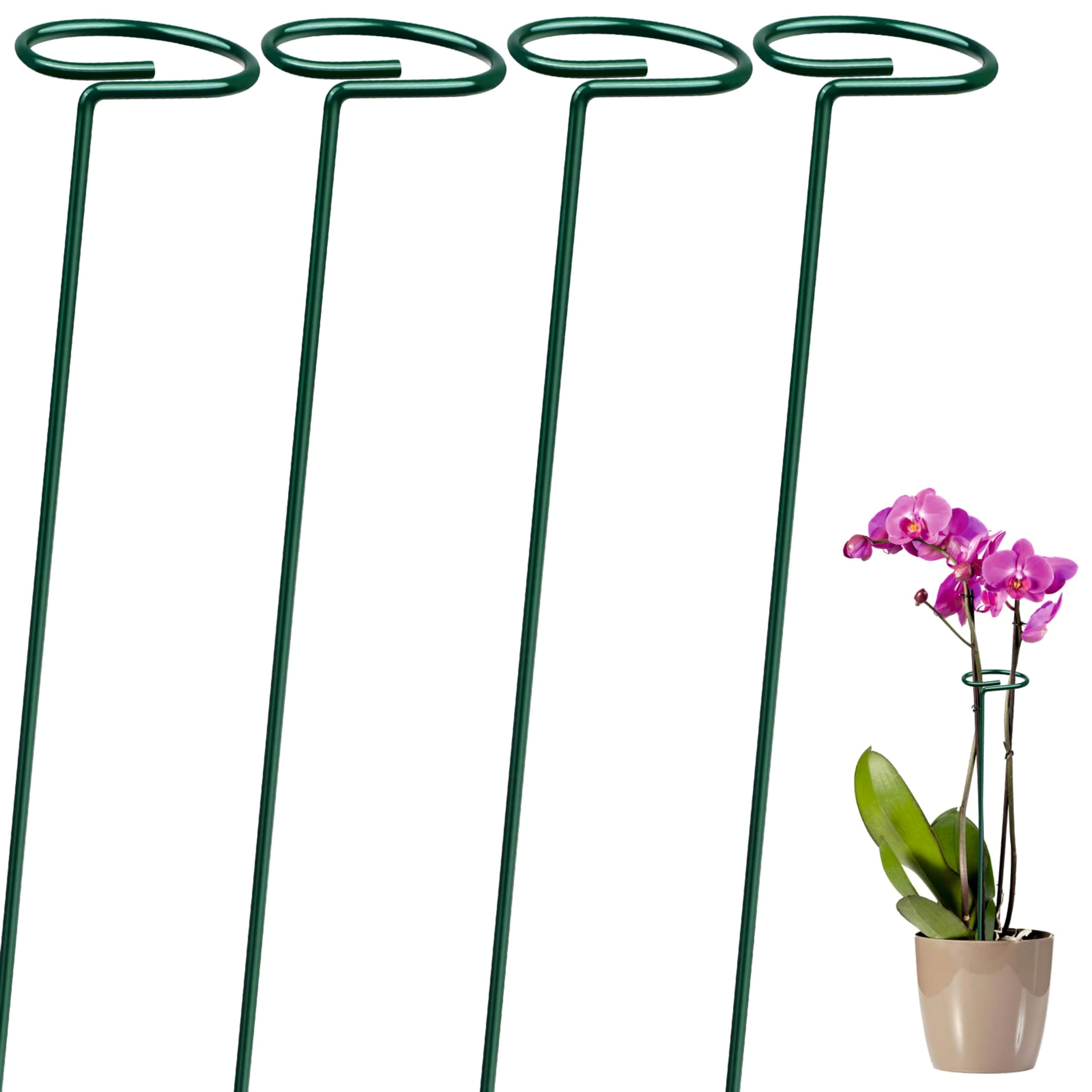 See full amazon price history chart for Kerqoor 18 Inch Super Long and Strong Trellis, Plant Support, Plant Suporters for Climbing Vines and Plants, Rust Resistance, Strong Metal, Green 18 Inc (Pack of 5) Kerqoor 18 Inch Super Long and Strong Trellis, Plant Support, Plant Suporters for Climbing Vines and Plants, Rust Resistance, Strong Metal, Green 18 Inc (Pack of 5) (B0D45JV8LH) Amazon Price History, Amazon Price Tracker