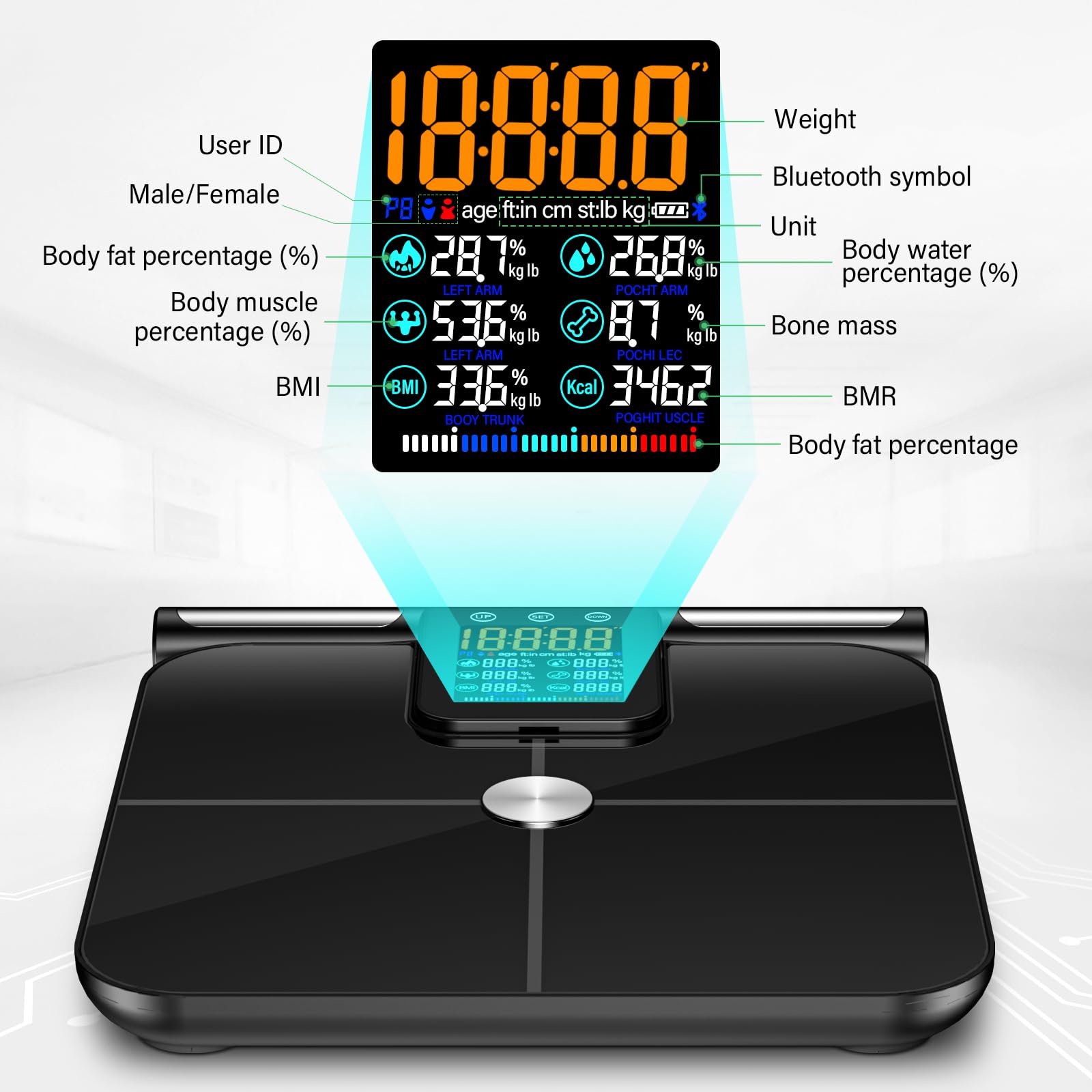 Bilancia Pesapersone Digitale Professionale 8 Elettrodi, Bilancia di Precisione Con Display LCD ad Alta Definizione e Maniglia Retrattile, Con APP Puoi Misurare 32 Metriche Corporee