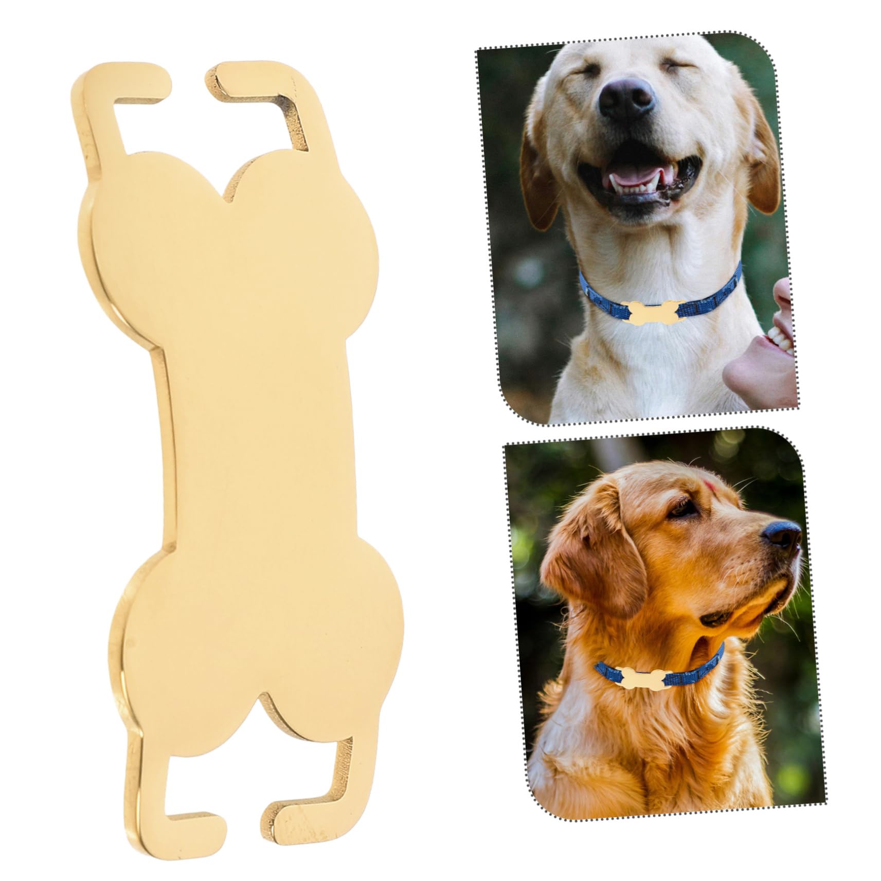 YARNOW Lot De 5 Médailles Didentification Personnalisées pour Chien en Acier Inoxydable avec Nom Et Numéro De Téléphone Gravés 3 Pièces X 5