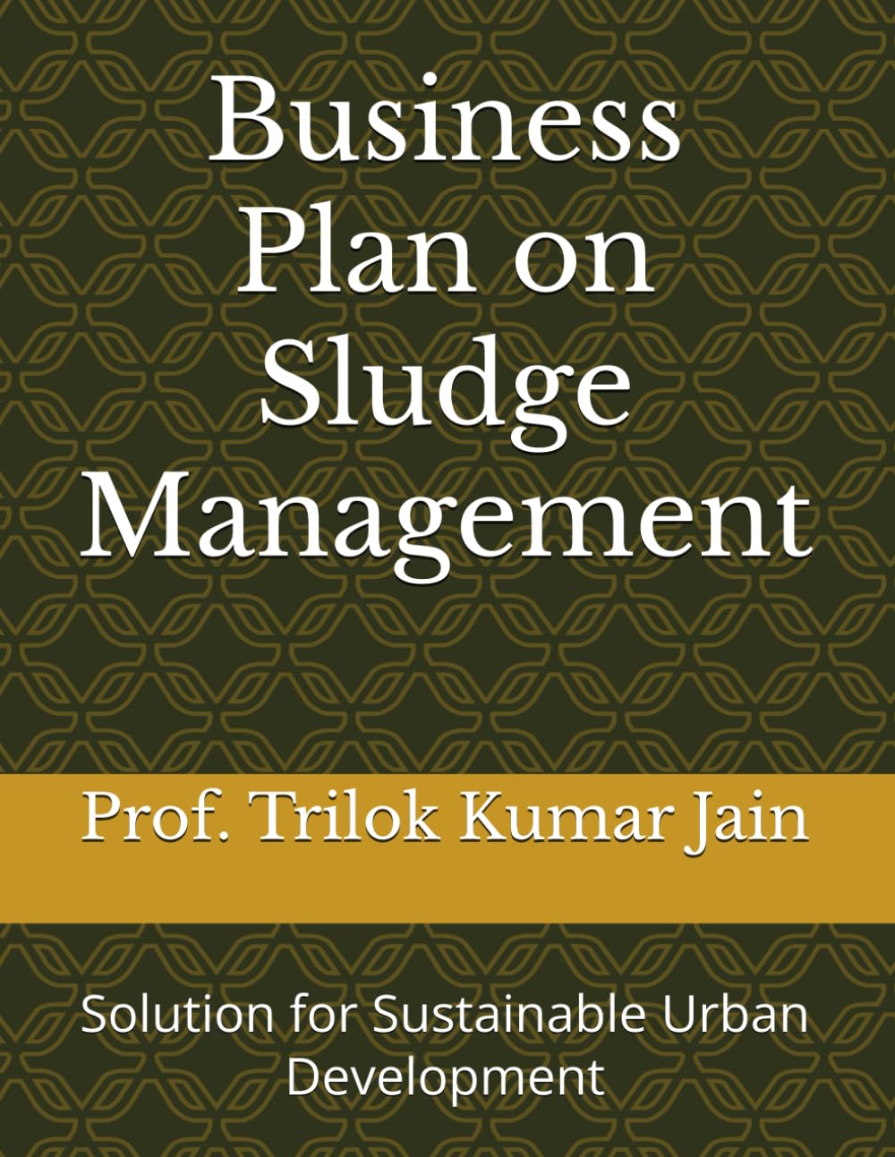 Business Plan on Sludge Management: Solution for Sustainable Urban Development: 6 (Business Plans for the Future)