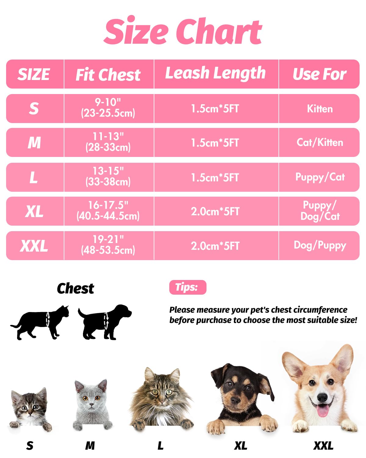 FAYOGOO Pettorina e Guinzaglio per Gatti, Antifuga per Cuccioli, Regolabile Con Rivestimento Riflettente per Passeggiate all'Aperto