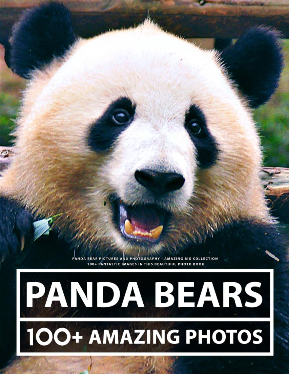 Panda Bear Pictures and Photography - Amazing Big Collection: 100+ Fantastic Images in this Beautiful Photo Book