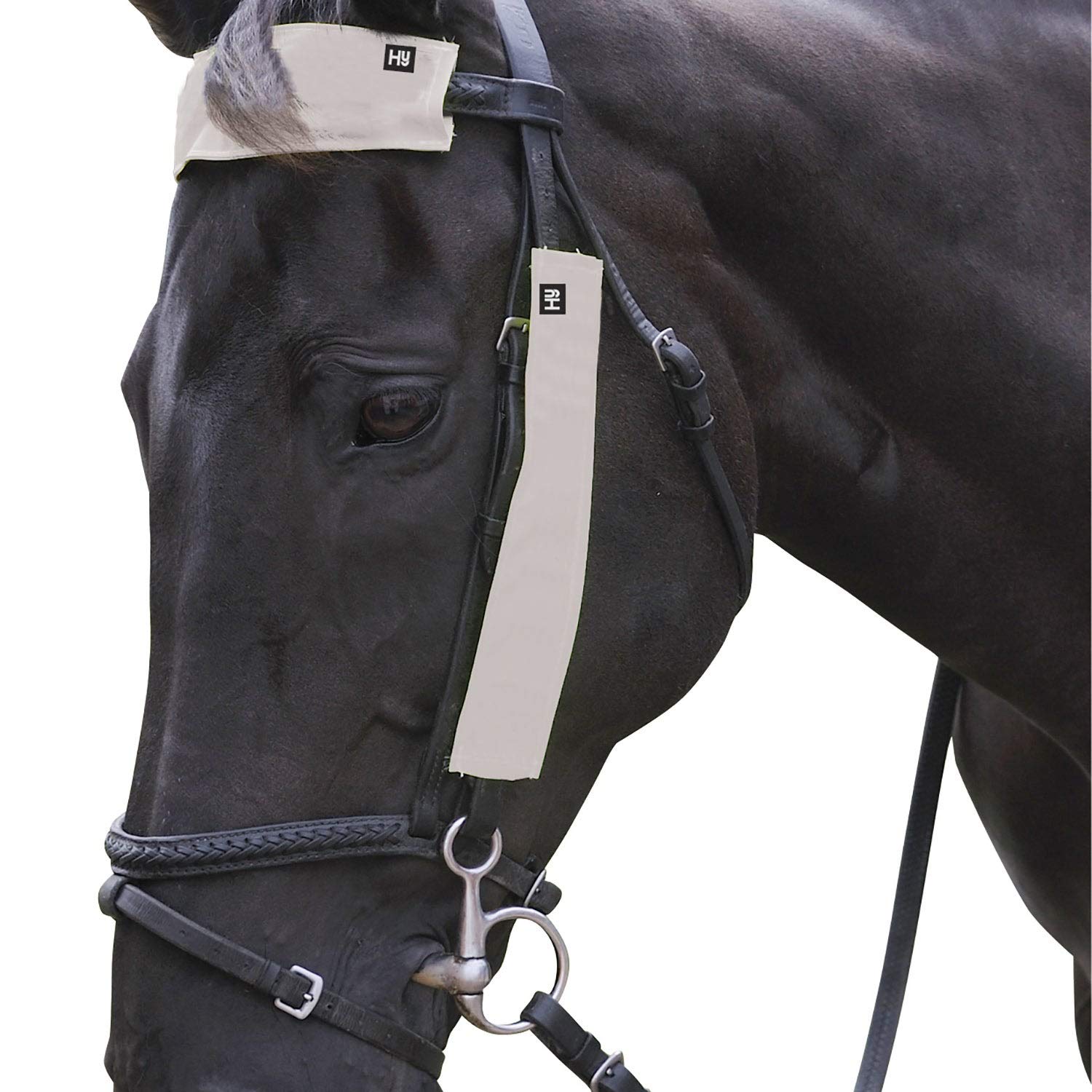 HyVIZ Silva Mercury Reflective Bridle Set (One Size) (Silver)