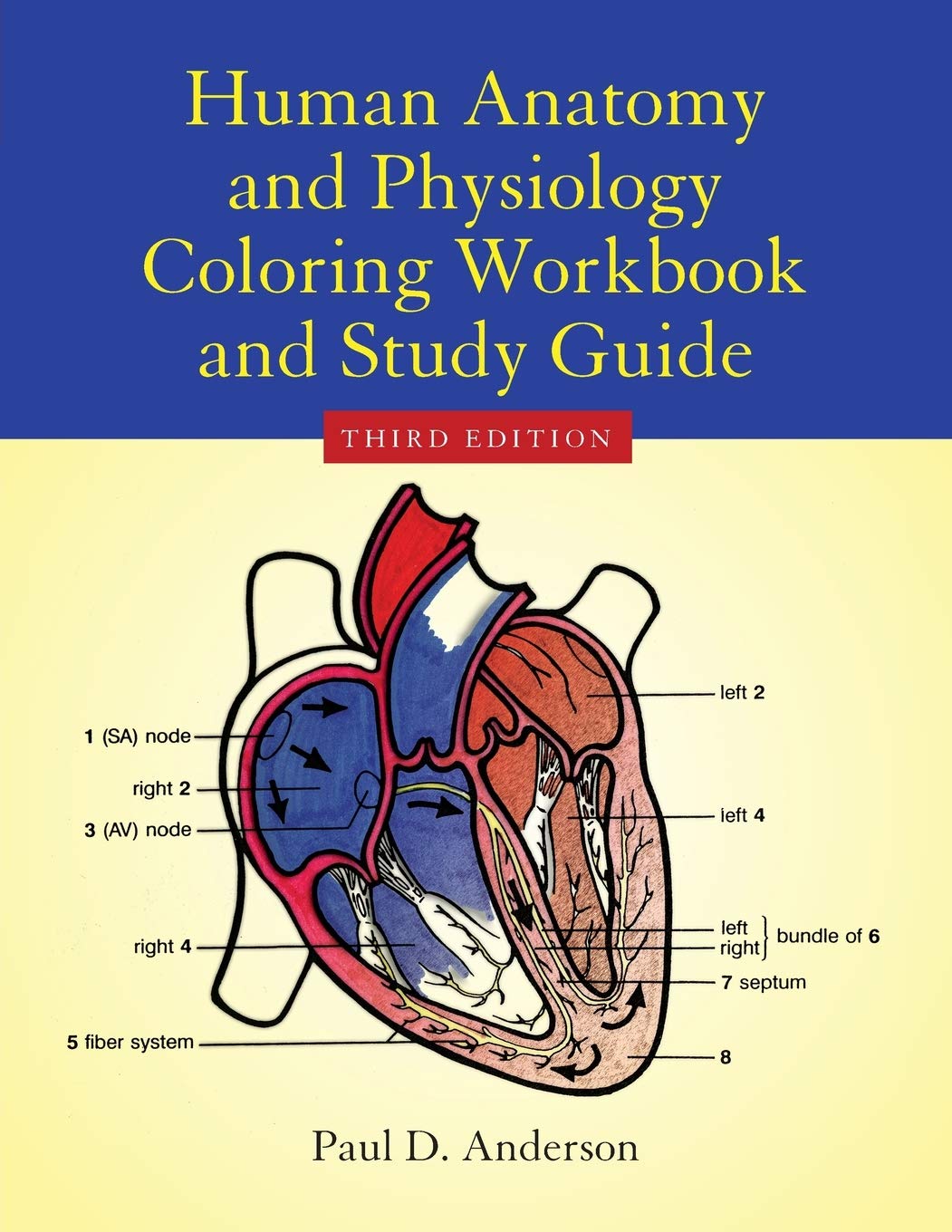 Human Anatomy & Physiology Coloring Workbook Anderson Paperback 9780763700546