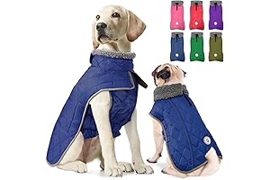 Fragralley Dog Snow Coat: Ultimate Winter Protection and Warmth