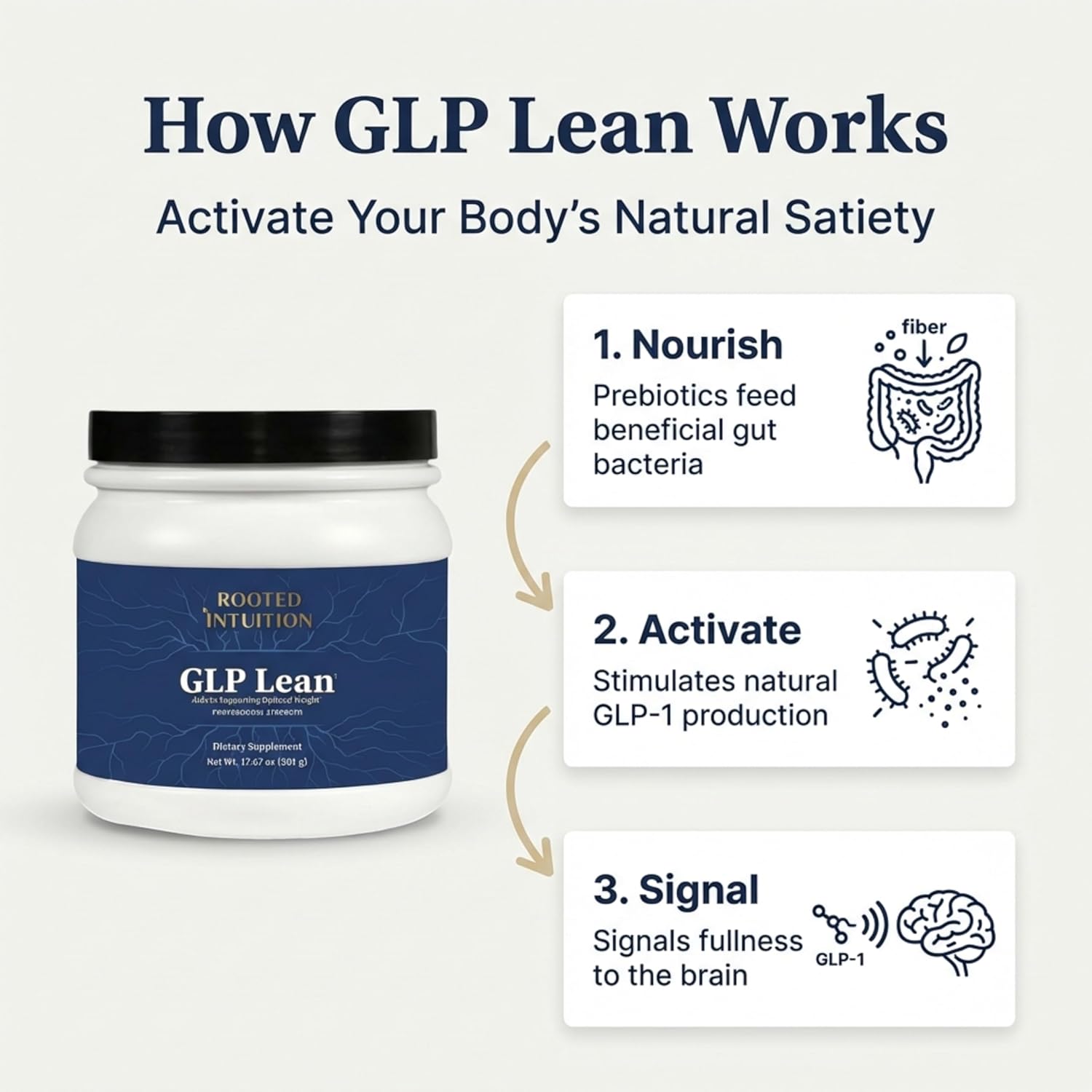 Rooted GLP-1 Fiber Supplement for Digestive Health & Appetite Support – High Fiber Powder with Akkermansia & F. prausnitzii Support – Gut Microbiome Balance, Satiety & Regularity – GLP Lean
