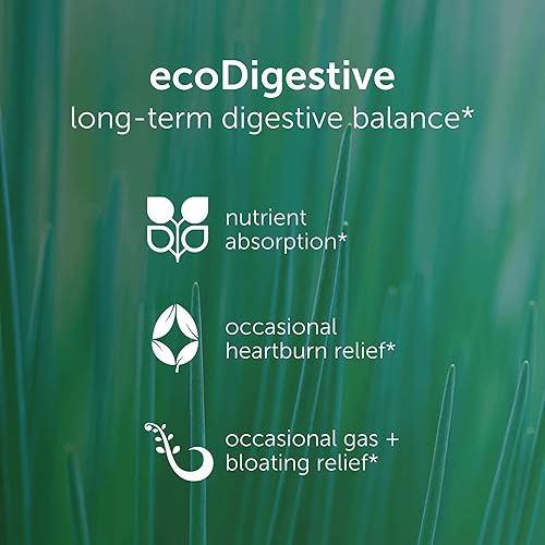 Miniatura 2 de EcoNugenics EcoDigest Suplemento para la salud digestiva - 60 cápsulas- Apoyo digestivo - Hierbas, hongos medicinales y enzimas