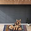 Product Photo 9