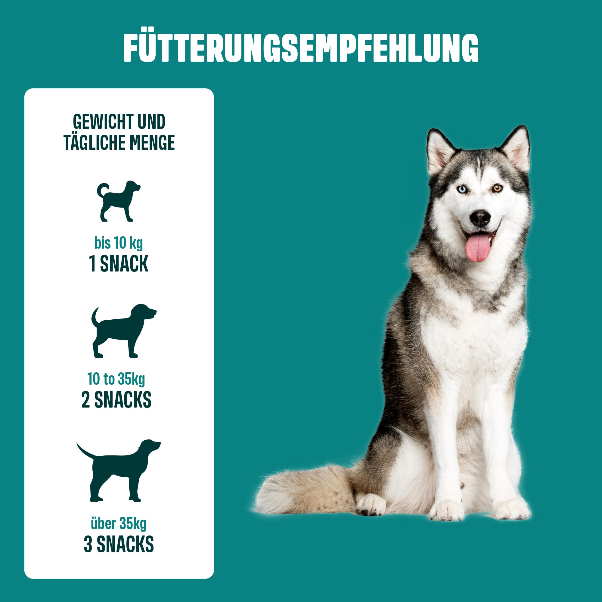 ivvi Sport – Funktionale Snacks für Hunde | Mit Protein, Ashwagandha, Kollagen & Aminosäuren | Unterstützt Muskelaufbau & Regeneration | 60 weiche Snacks (270 g)