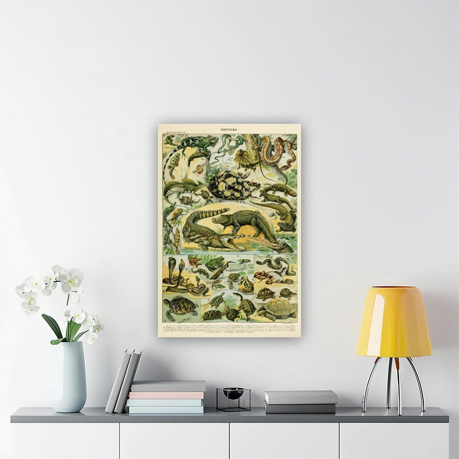Reptilien-Kunst, Reptilien-Diagramm, pädagogisches Diagramm, Adolphe Millot Vintage-Stil, wissenschaftliche Illustration, Klassenzimmer, Wissen, Kunst, Leinwand, Wandkunst, Poster und Drucke, Raum