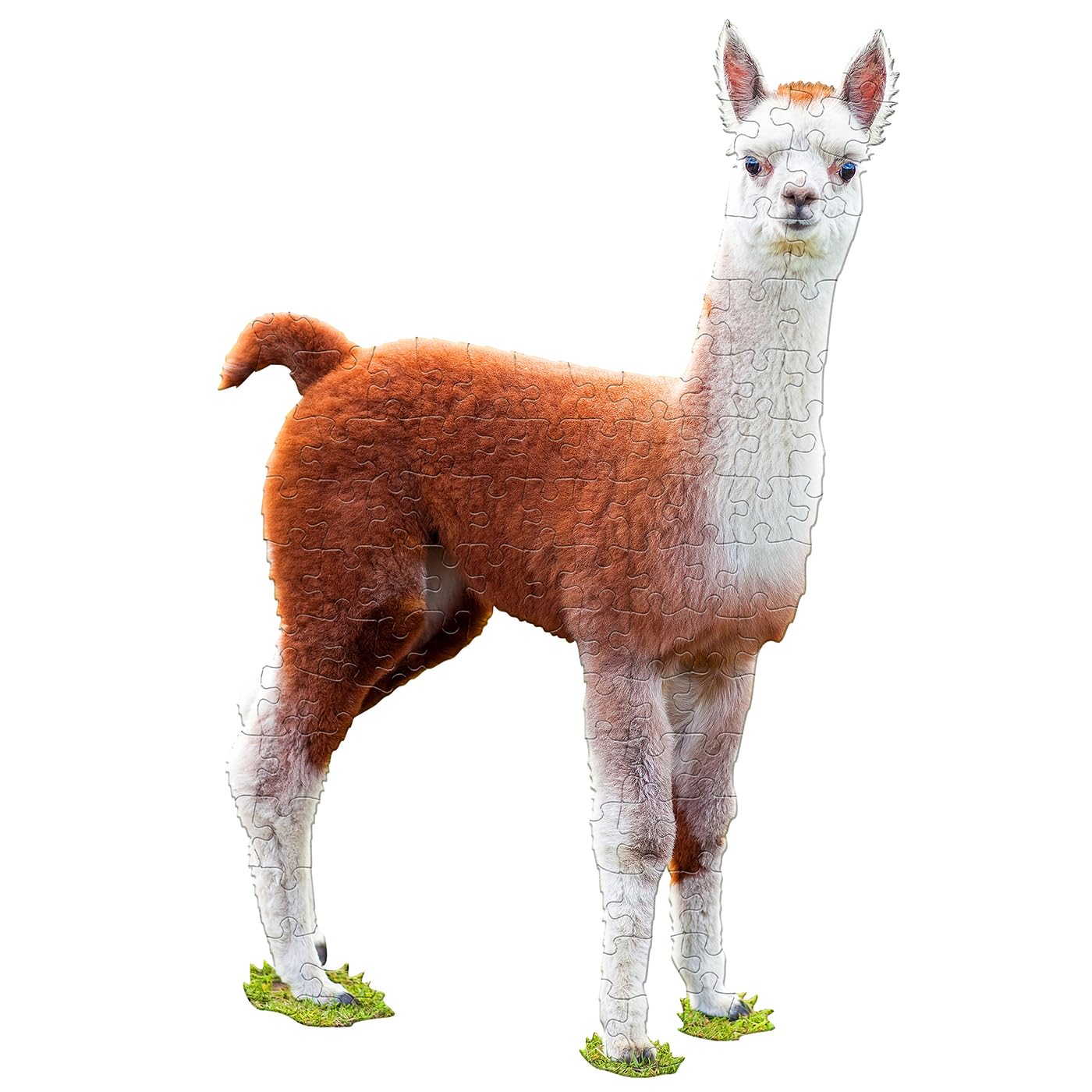 Amazon | アニマルシェイプパズル サメ MC4013 | ジグソーパズル