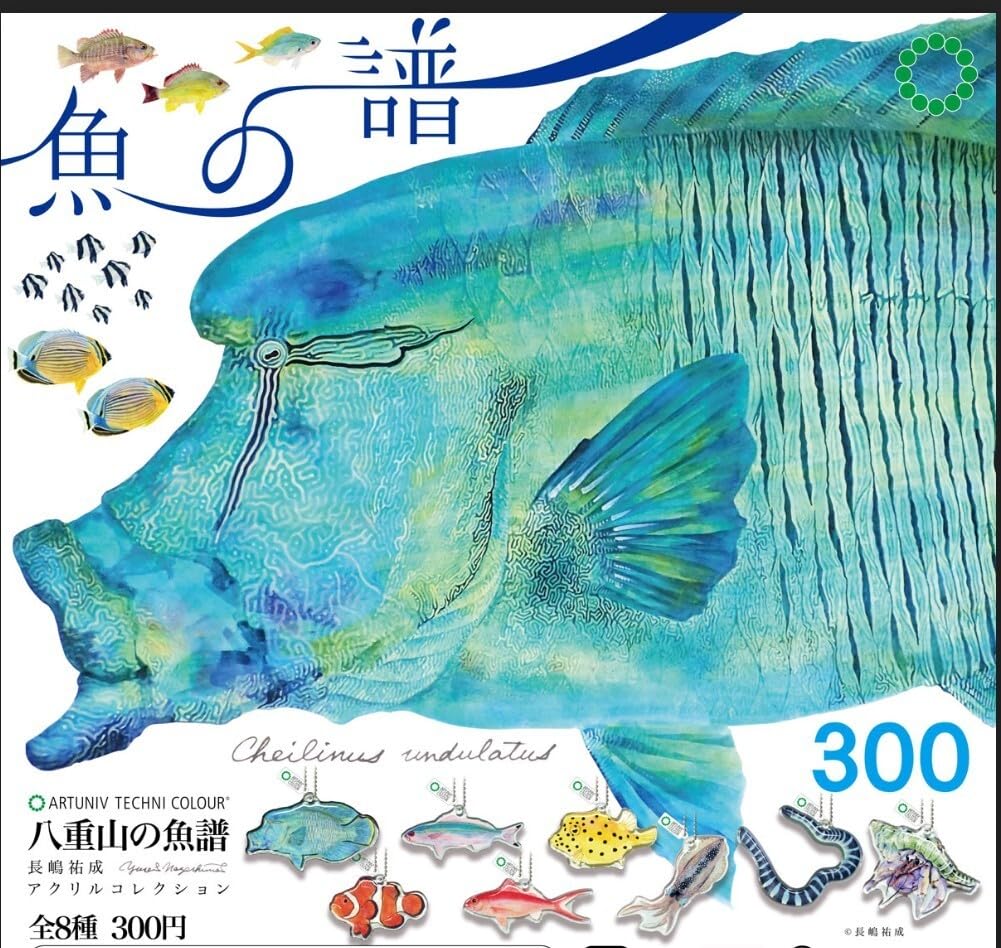 Amazon.co.jp: 八重山の魚譜 全8種類 アクリルコレクション 熱帯魚