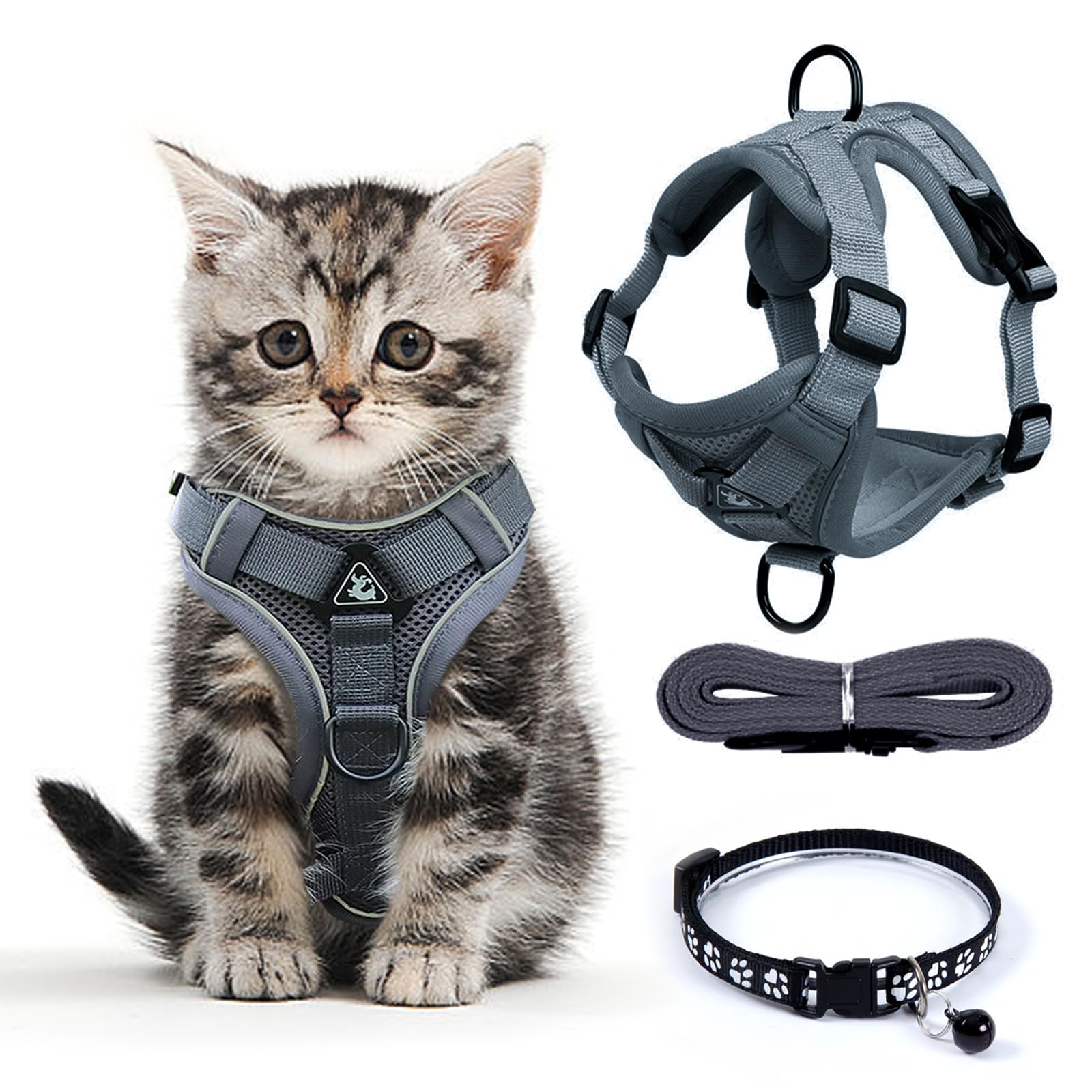 tuigje voor katten