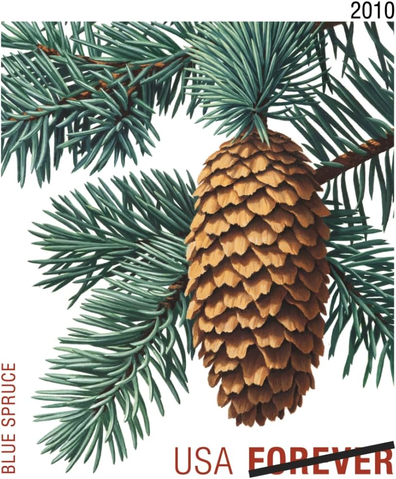 Holiday Evergreen FOREVER Stamps, Pane of 20