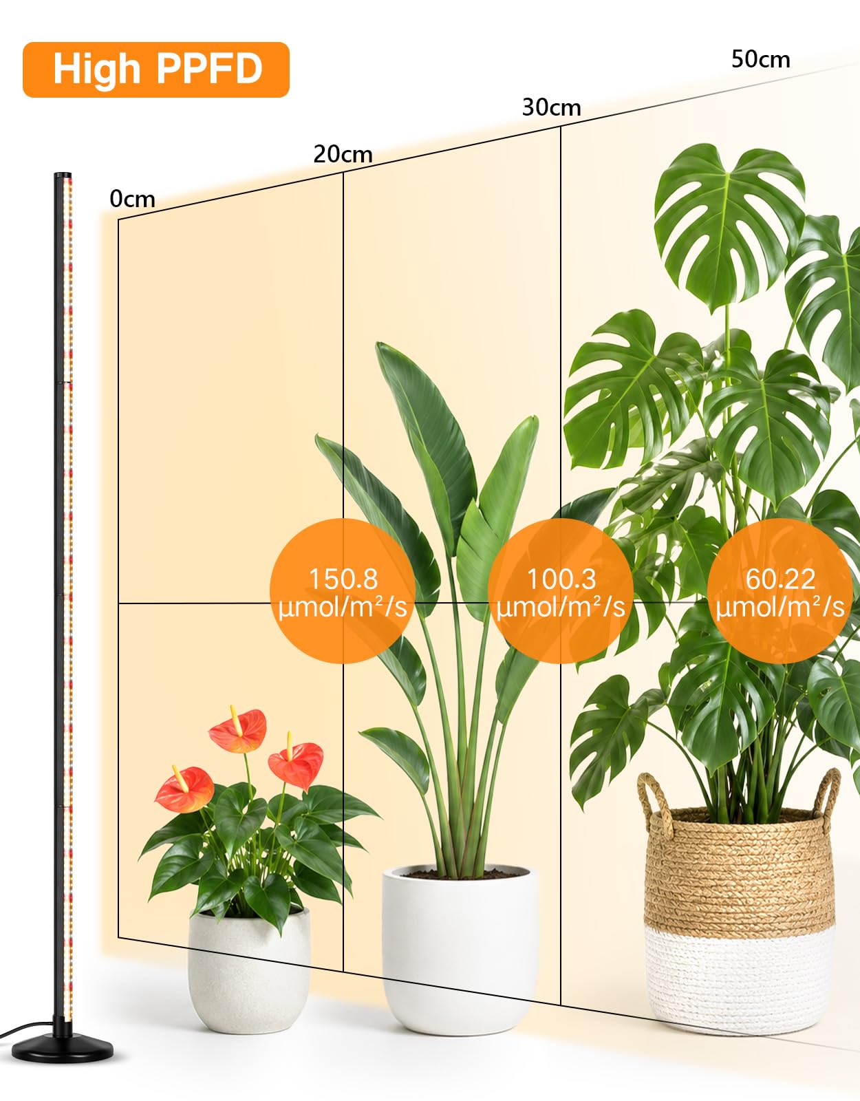 OUTON Lámpara LED para plantas de interior, espectro completo, 48 W, 195 cm | 210 LED, 6000 K, CRI 96, 10 niveles, temporizador 4/8/12 h, mando a distancia, base redonda, altura hasta 195 cm