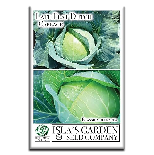 Miniatura 2 de Semillas de col holandesa plana tardía, 1000 semillas tradicionales por paquete, semillas de jardín de Isla (semillas de jardín de Isla), semillas