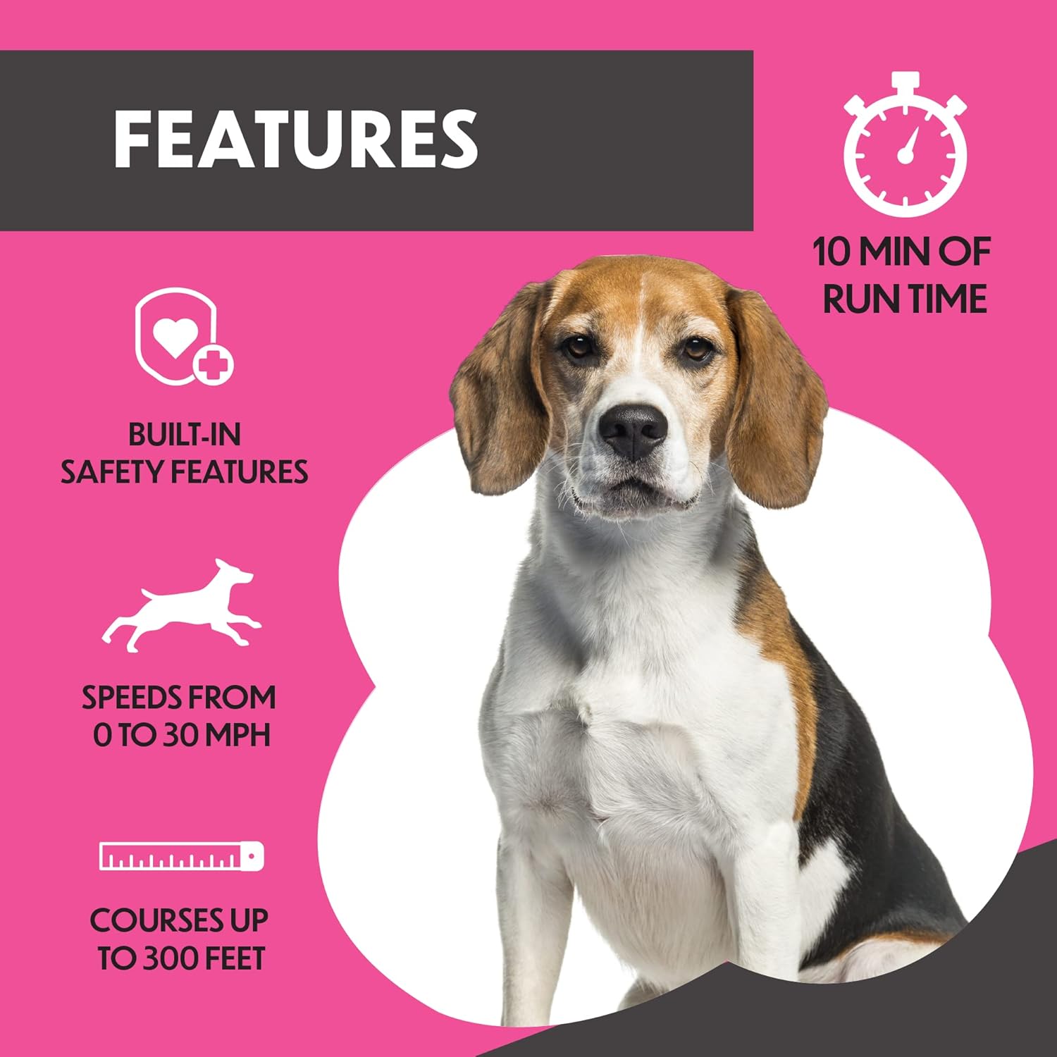 home lure course for dogs