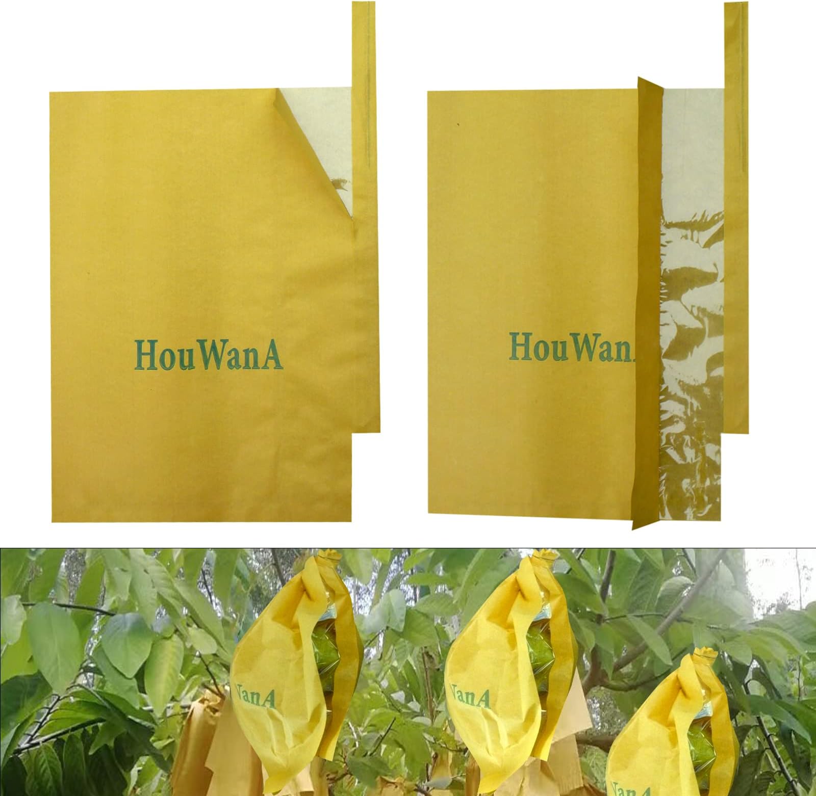 Fruit Protection Bags 100pcs Cover Bags 9X11.8inch, for Fruit Trees, Orchard, Trees, Frost, Plants There are Windows to See Inside