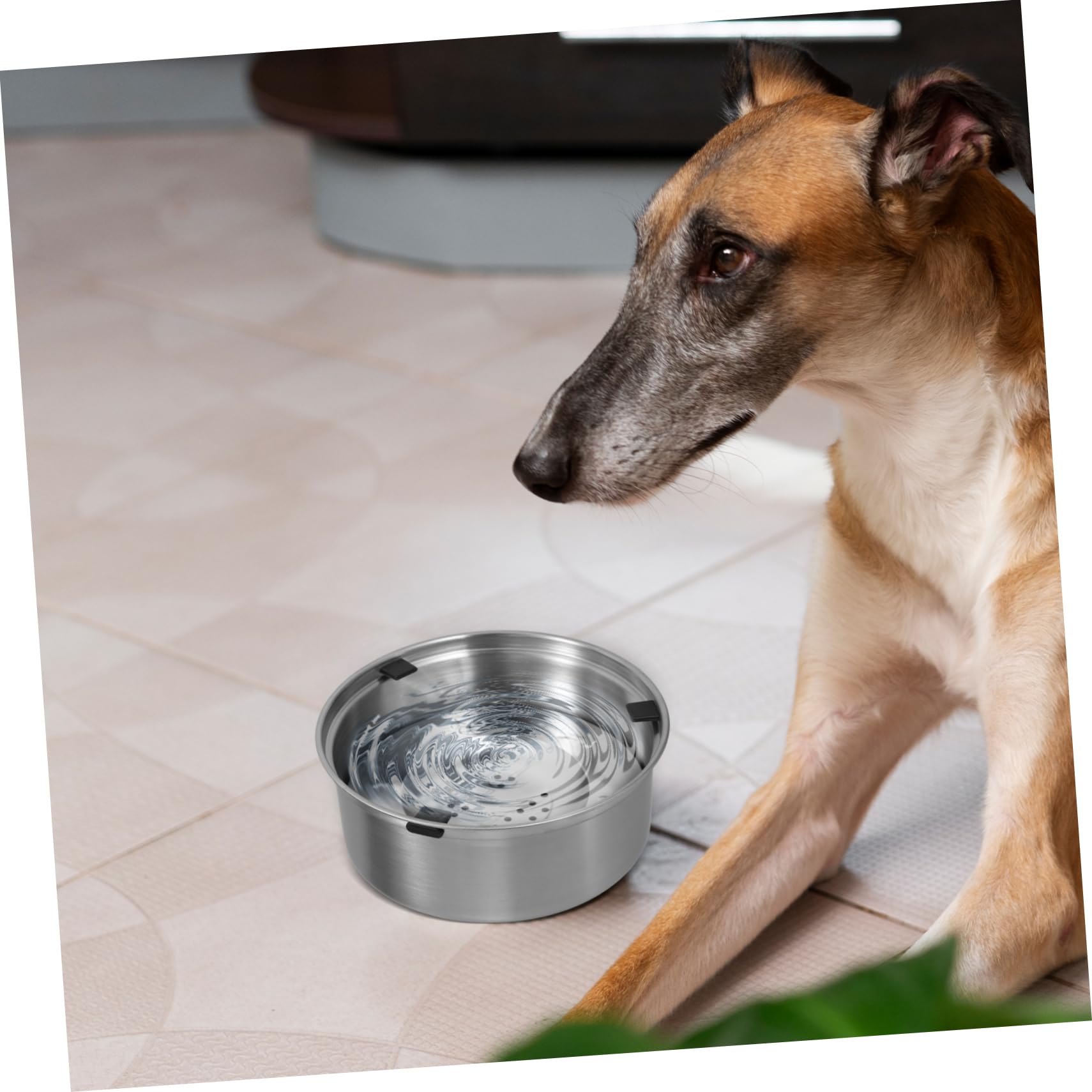 Tropffreier Hunde Wassernapf mit Schwimm Design aus Edelstahl für Hunde | Silber, Rostresistent, Fördert Gesündere Flüssigkeitsaufnahme, Geeignet für Hund und Haustier