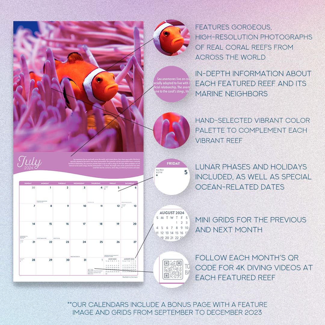 amazon-com-coral-2024-wall-calendar-12x24-inch-marble-city-press-office-products