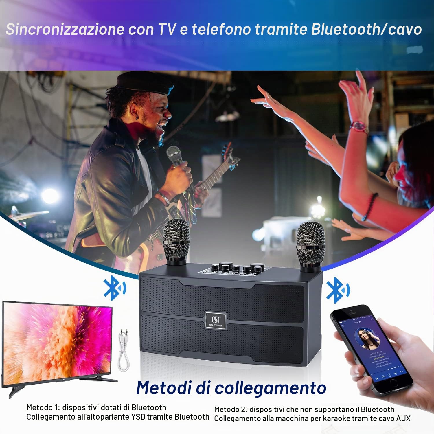Karaoke Professionale 20W Con Microfono - Sistema PA Bluetooth Con 2 Microfoni Wireless HD - Cassa Per Riunioni Di Famiglia, Matrimoni