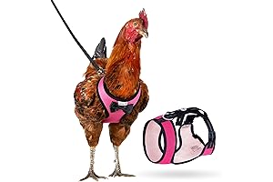 Yesito Chicken Harness and Leash for Hen, Adjustable and Comfortable, Pink