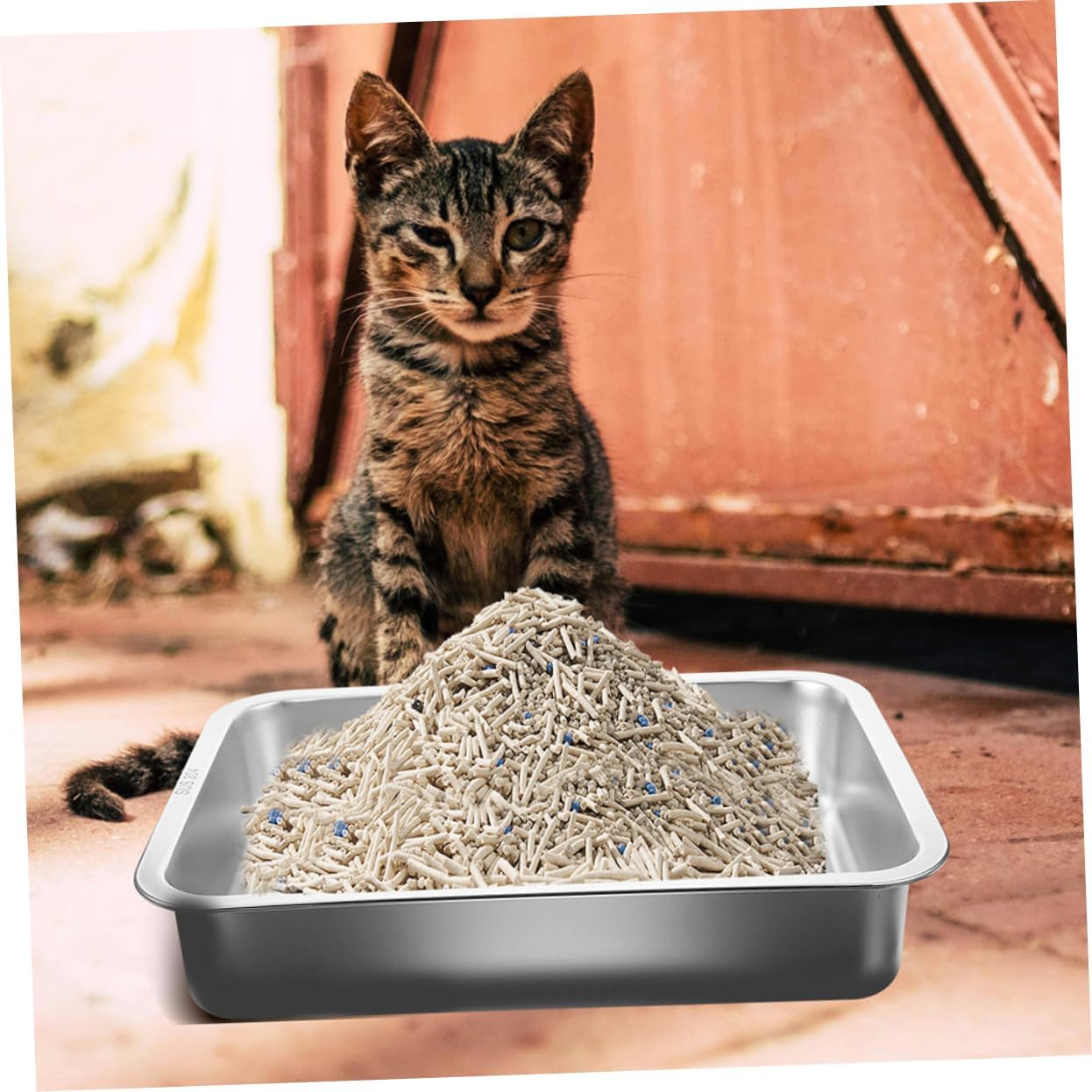 Litter Box Magnetic Design for Easy Access Small Litter Pan for Kittens and Cats Easy to and Maintain