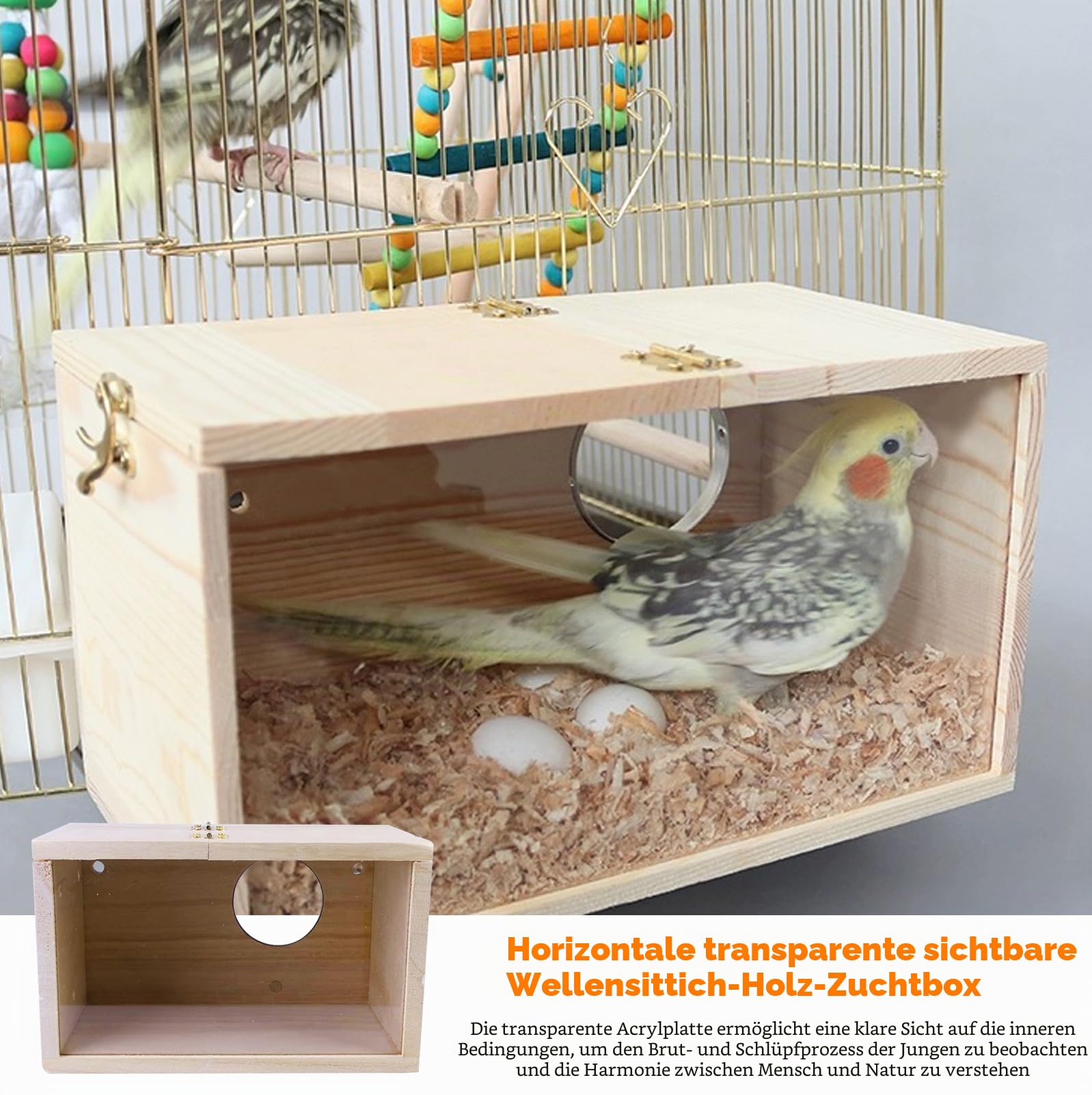 Transparentes Vogelzuchtbox Wellensittich Nistkasten: LEKEFET Wellensittich Holz Zuchtbox Massivholz Papagei Zucht Box Vogelzucht Brutkasten Vogelhaus für Sittich Lovebirds Papageien12*12 * 19.5cm