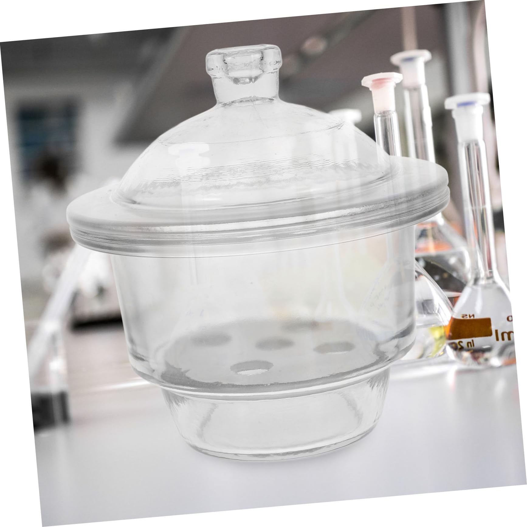 Labor Trocknerflasche aus Glas Vakuum Exsikkator mit Einfachem Tragekomfort und Bequemer Bedienung für Präsentation und Lehre im Labor