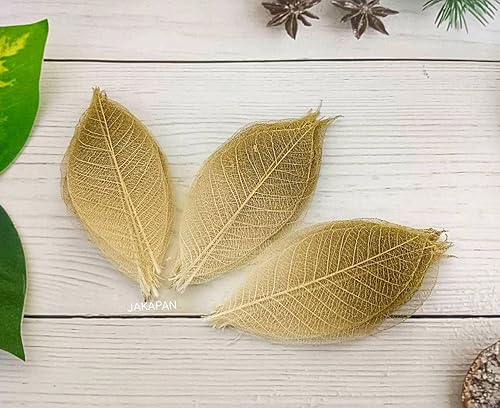 Miniatura 6 de JAKAPAN Hojas de esqueleto decorativas de dos tonos, árbol de goma natural, álbum de recortes, manualidades, tarjeta de boda, hojas pequeñas, uso