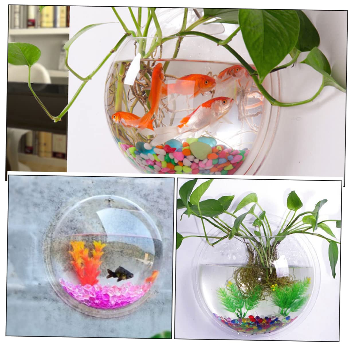 Acrylic Planter Qpets Wall-Mounted Aquarium Plant Holder, Aquarium