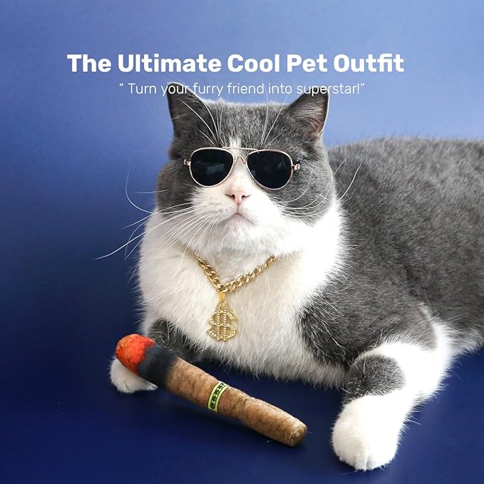 Disfraz de Gafas y Cadena de Oro para Perro, Accesorios de Superestrella miniatura 5