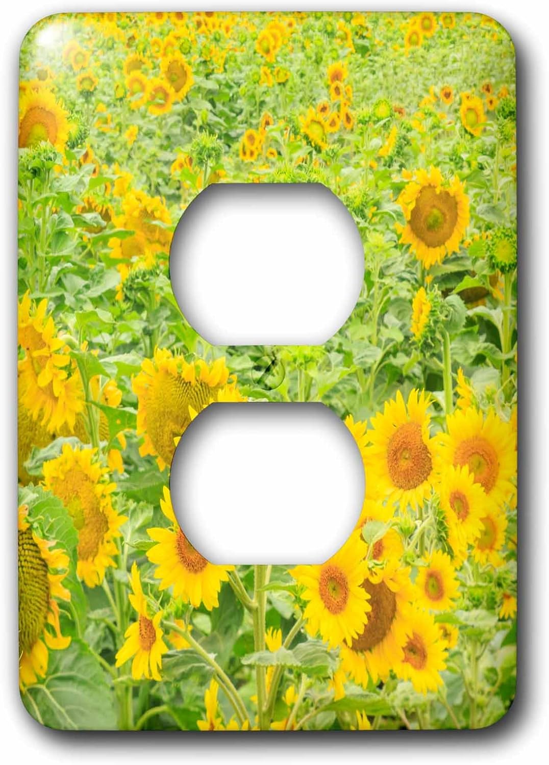 3drose ( 6 ) 2プラグコンセントカバー( LSP _ 231828 _ 6 ) 2 Largeフィールドのひまわり、ワシ