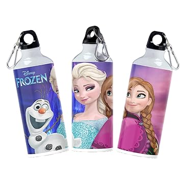 360Edutech, Frozen Princess Water Bottle Sipper 600ML, Aluminum, for Kids Boys Girls Men & Women, for Camping Cycling Trekking Schooling etc, Ideal for Hot and Cold Beverages, BPA Free, FPSV5