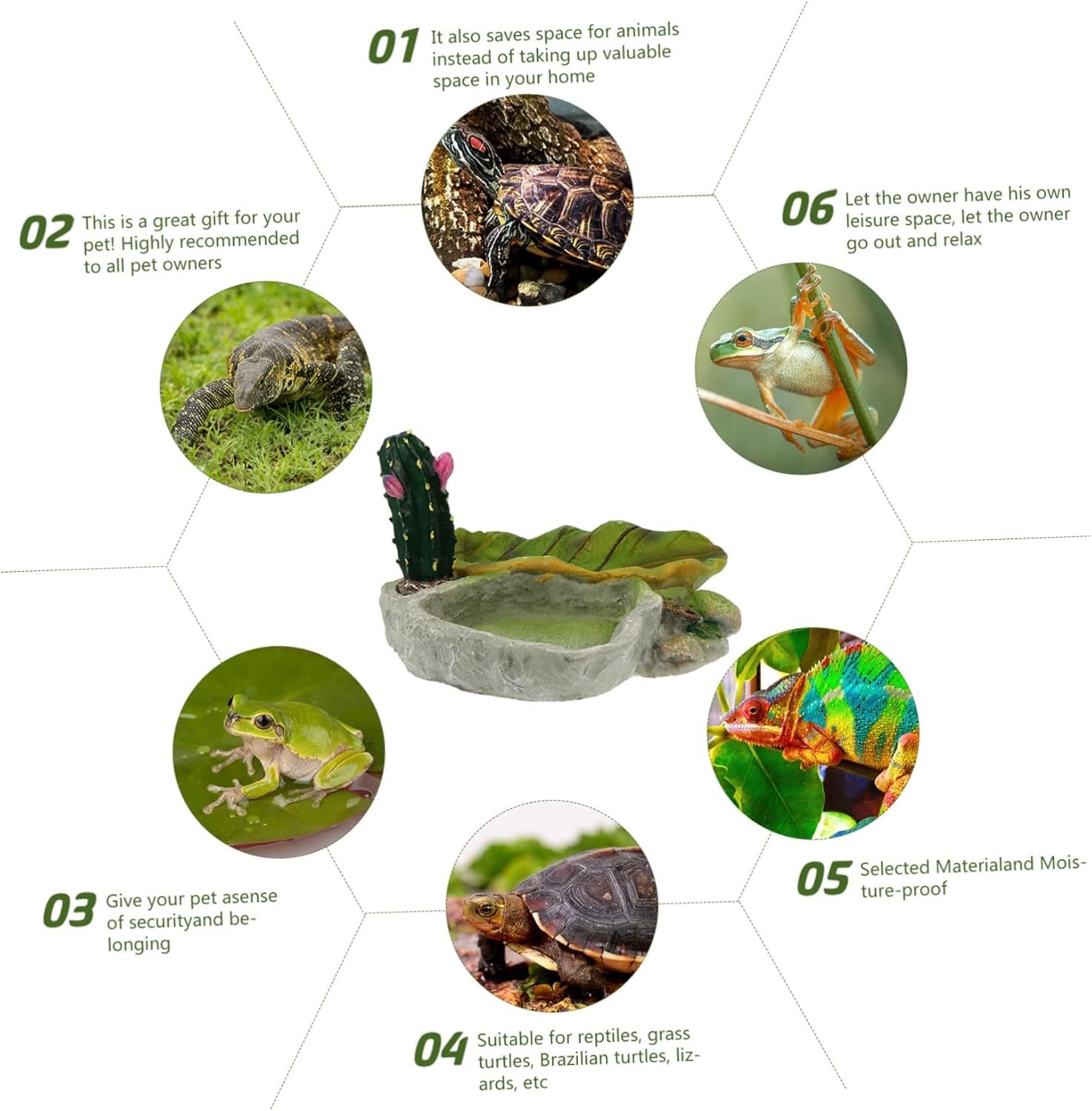 Reptile Water Bowl Reptile Feeding Bowl,2 pcs Reptile Feeding Tray Cricket Bowl Snake Feeder Food Dish Artificial Tree Trunk Reptile Platform Tiny Glass Animals Reptile