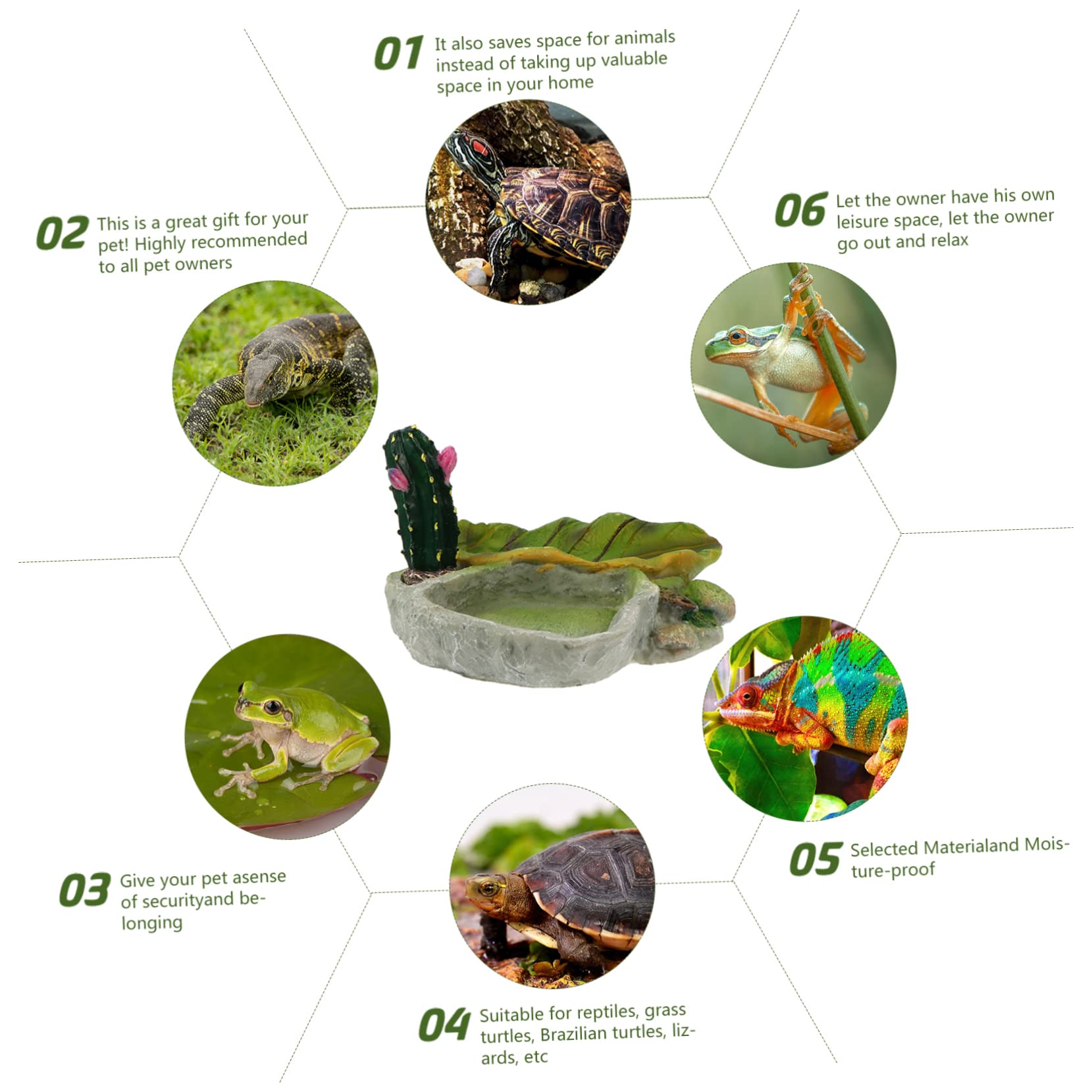 Cuenco de agua para reptiles Cuenco for alimentación de reptiles, 2 piezas, bandeja de alimentación de reptiles, cuenco de grillos, comedero for serpientes, plato de comida for tortugas, tronco de árb
