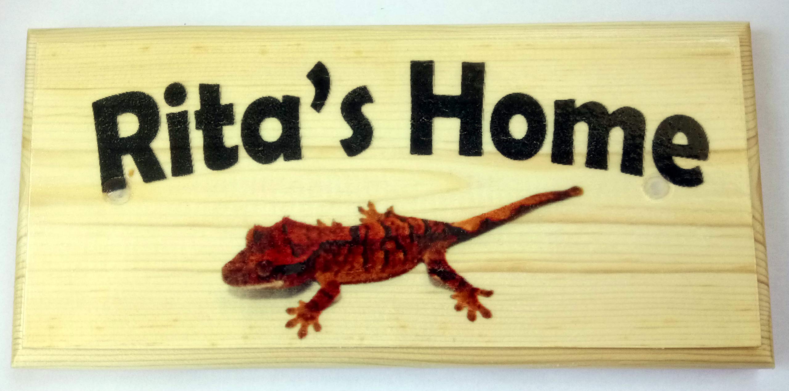 Personalised Gecko Home Sign, Gecko Enclosure Plaque
