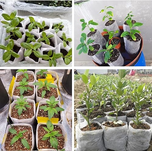 Miniatura 6 de 100 bolsas de cultivo para vivero, 5.8 x 5 pulgadas, bolsa de cultivo de plántulas de tela no tejida para plantas, macetas de tela, papa, flores,