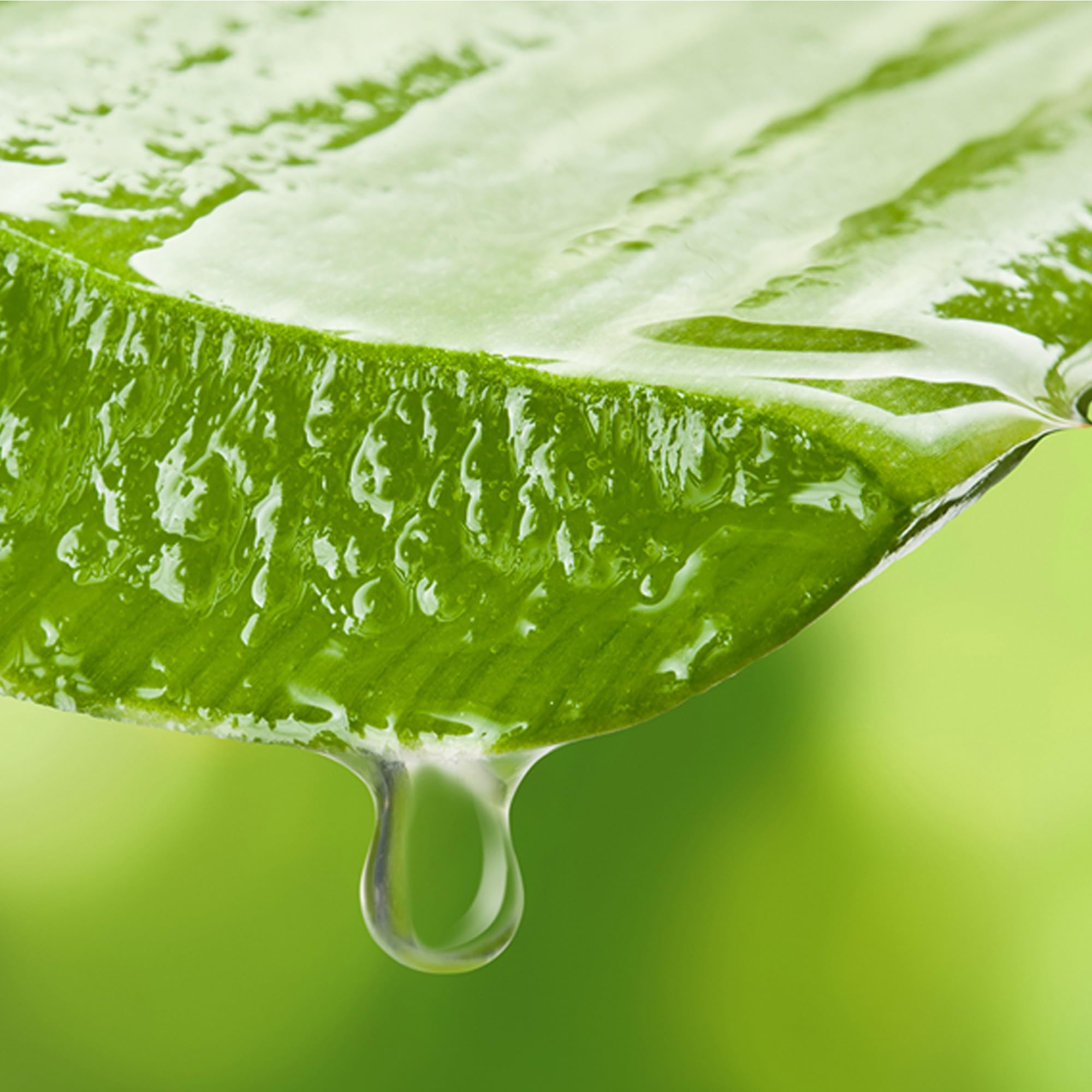 Mylee After Care 500 ml - Lozione post depilatoria, Idratante e Calmante per la Pelle, Con Aloe Vera