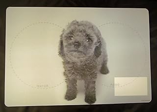 Poodle Food and Water Placemat for Your Dog with 3d Image
