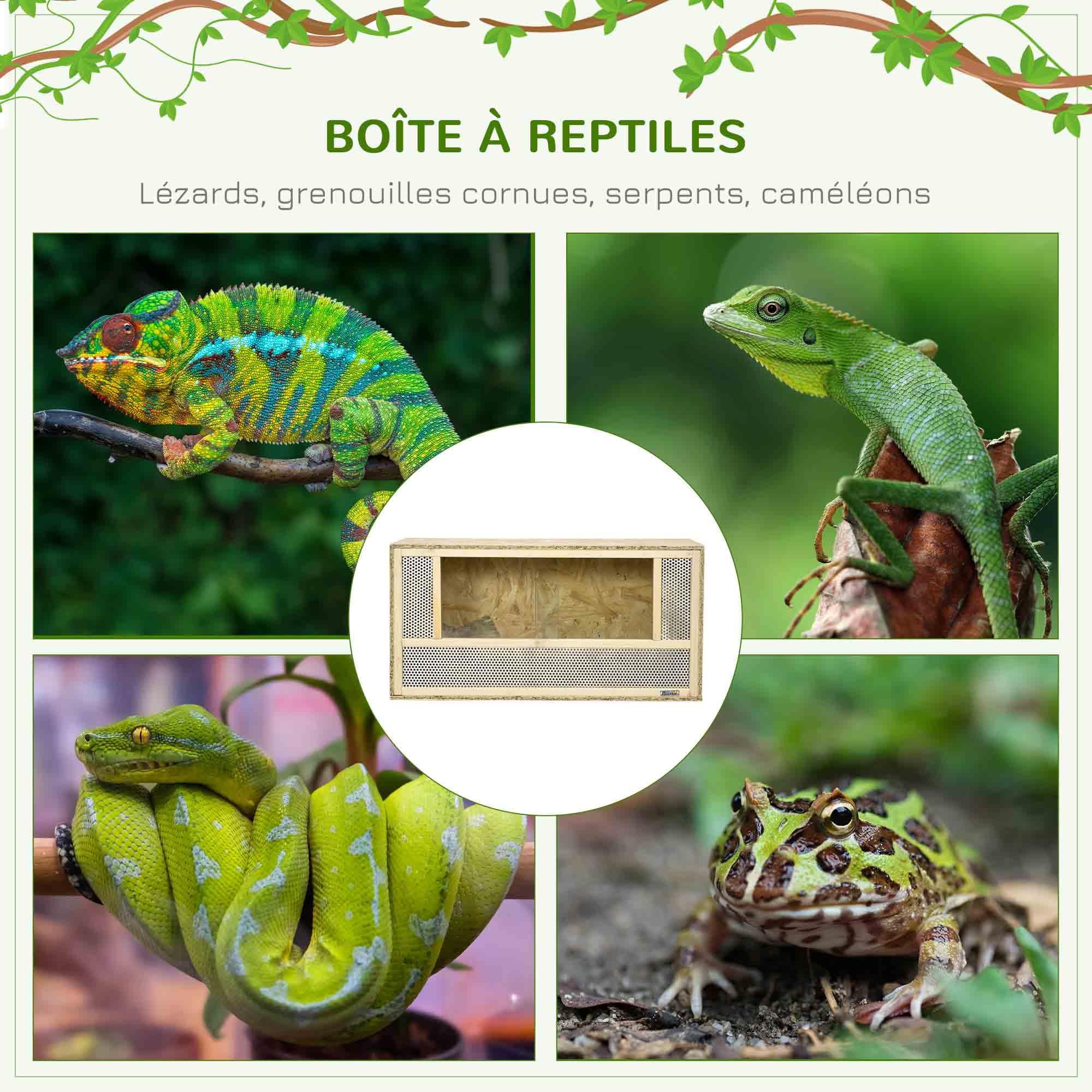 PawHut Terrarium en Bois OSB pour Reptiles et Batraciens avec Porte Coulissante en Verre 80 x 40 x 40 cm Naturel