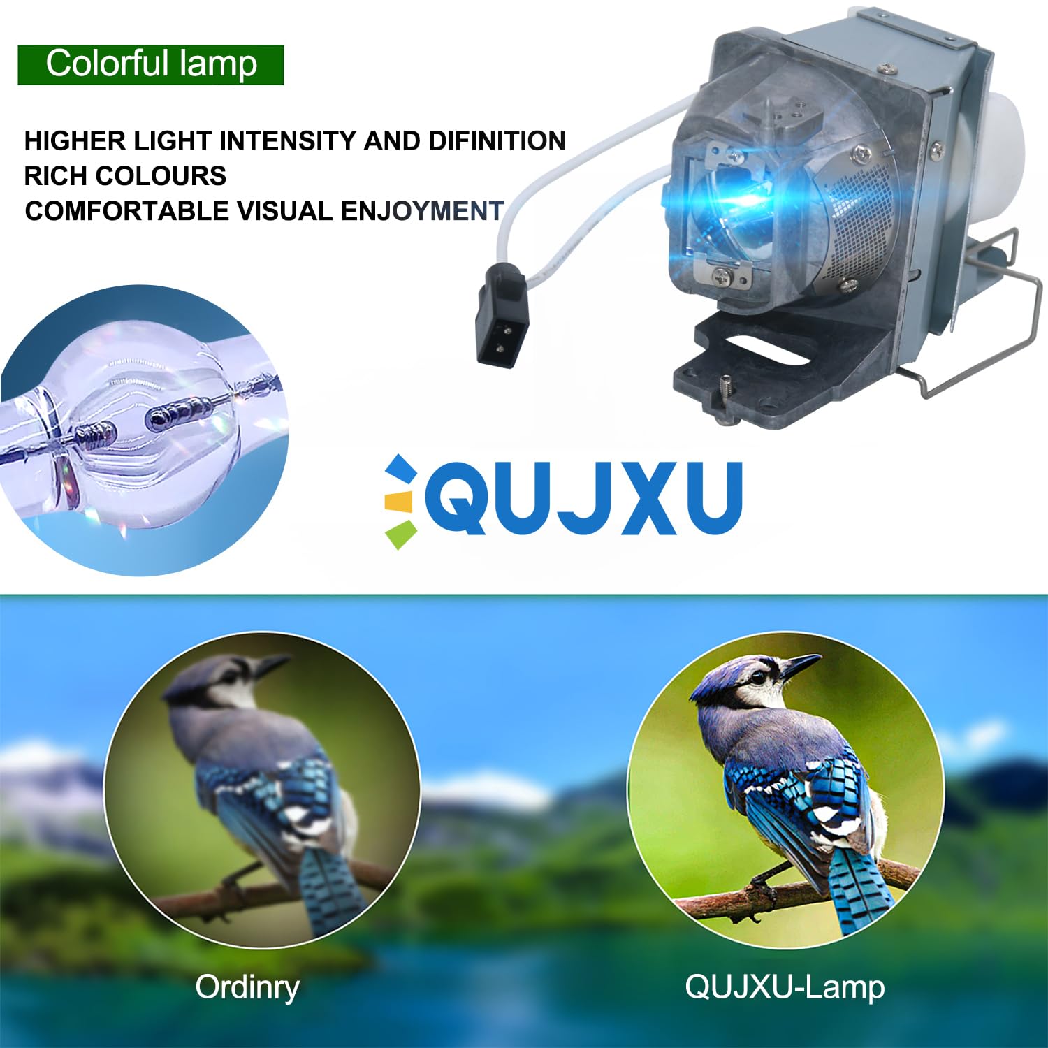 QUJXU BL-FP240E /SP.78V01GC01 Projector Lamp with Housing for Optoma UHD60 UHD65 UHD50 UHD51A UHD51 UHD40 UHD300X UHD550X UHD400X Replacement Lamp