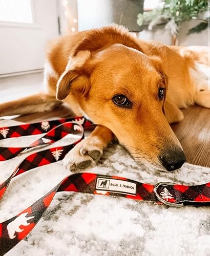 Miniatura 7 de Bagel & Friends Juego de correa para collar de perro a juego, calidad premium, 11 diseños disponibles en XS, pequeño, mediano, grande para niños,