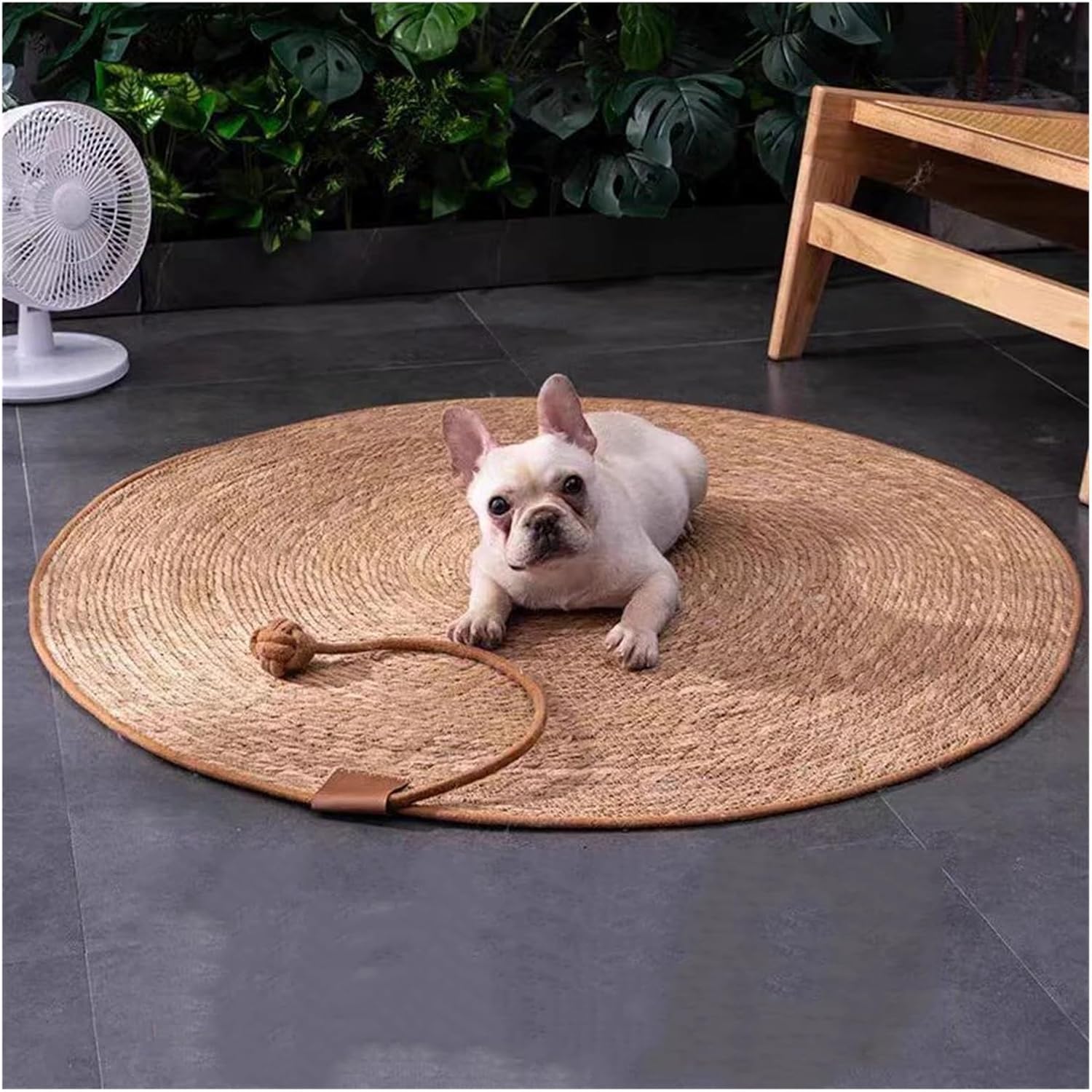 Cat Scratching Rattan Mat Board Claw Sharpening Scraper Tree Post Sofa Furniture Protector(New Mat and Ball)