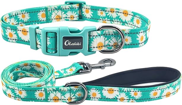 Dog Collar Leash Set, Floral Pattern, with Safety Reflective Strips, 5 ft Matching Leash, Neoprene Padded Handle, Adjustable 4 Sizes for Small Medium Large Dogs.M, Green Daisy