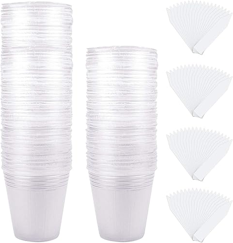 HOVEOX 100 macetas de 3 pulgadas con 100 etiquetas para plantas, macetas de plástico transparente para jardinería, macetas de plantas suculentas
