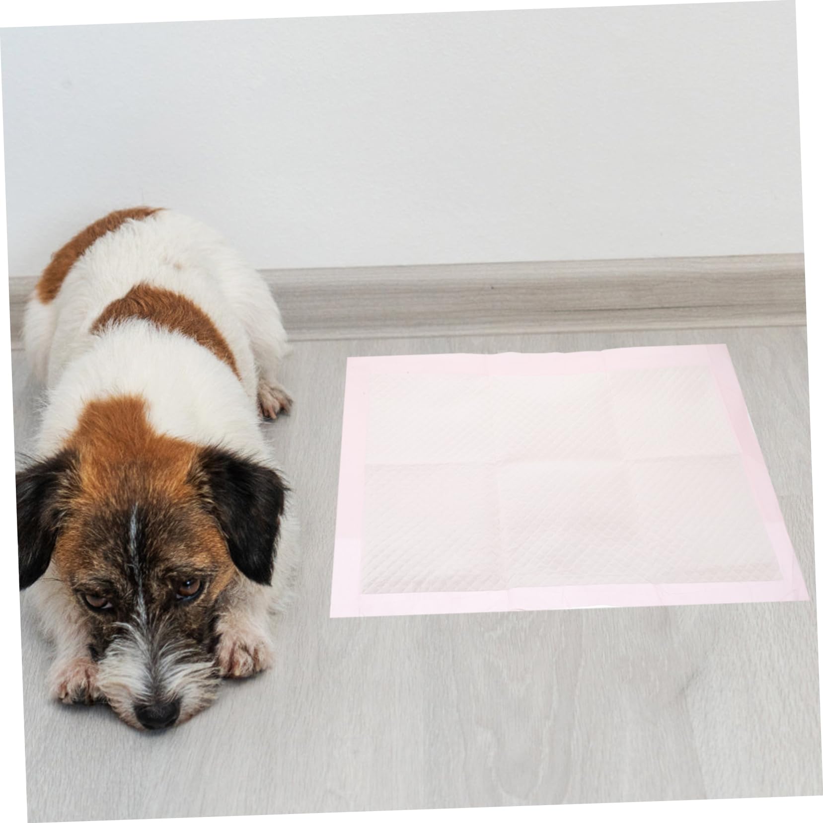 Yardwe 100pezzi Tappetini Per Animali Domestici Tappetini Assorbenti Per Per Addestramento Per Pulizia Igienica in Casa
