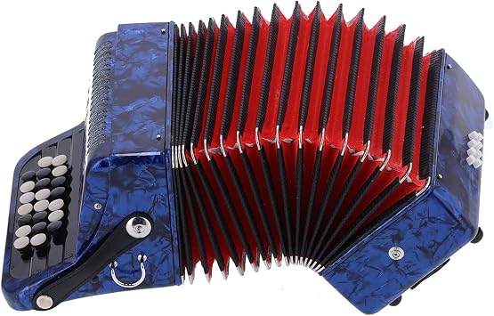 Alomejor Accordian 22 Key 8 Bass Professional Button Reed Instrument Mini Accordion Instrument Musical Instrument for Beginner with Storage Bag