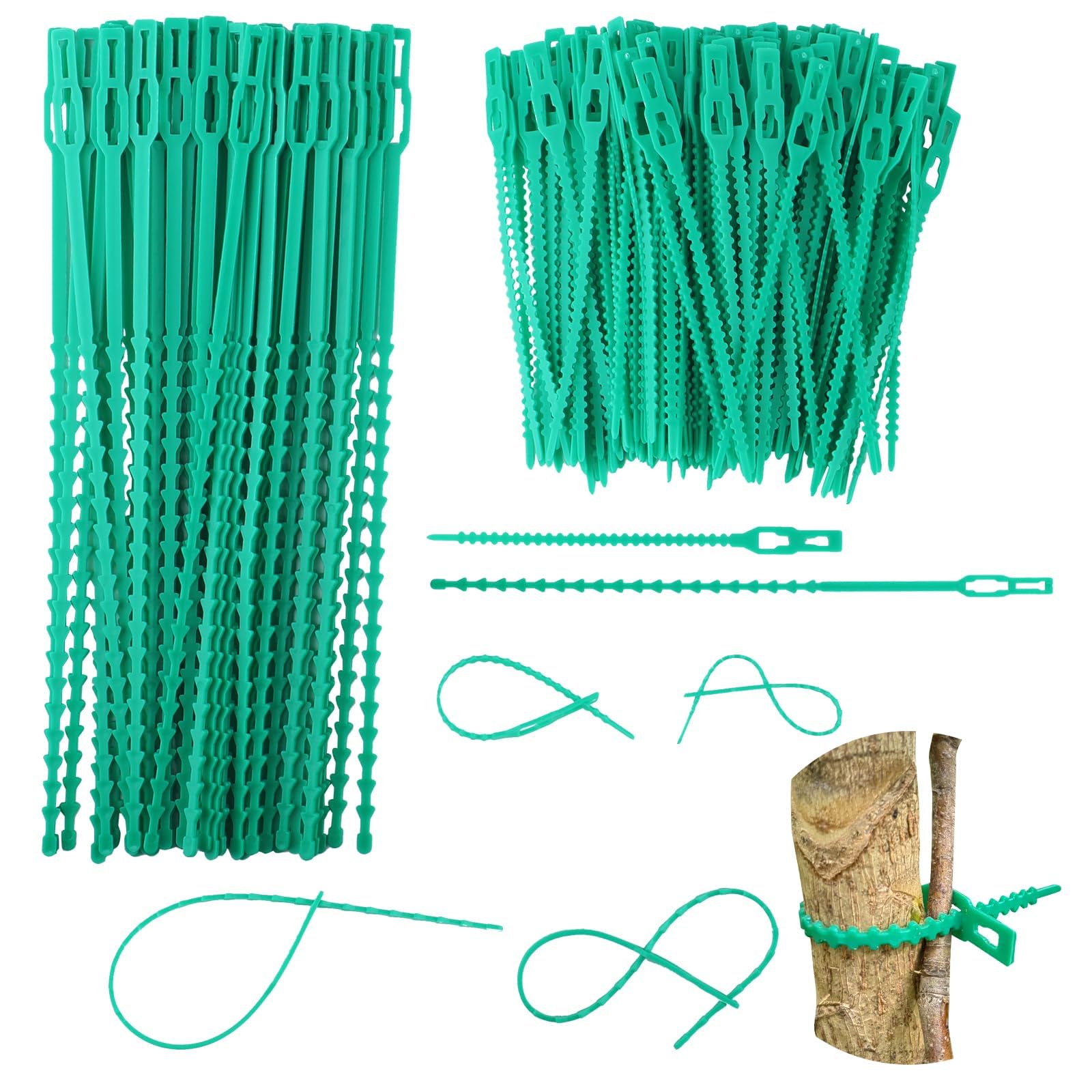 Lysjoy 100 Piezas Bridas Ajustables para Plantas, (13/23 cm) Lazos de Jardinería Reutilizables de Plástico Verde, Sujeción para Tomates, Plantas Trepadoras y Árboles, Resistentes a la Intemperie