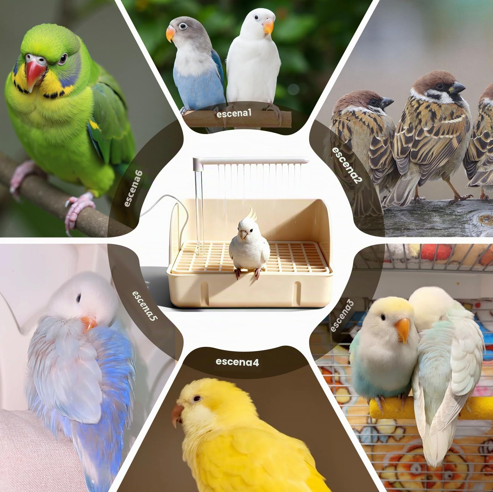 Ducha para pájaros, periquito, bañera con tubo de doble fila y 26 salidas de agua, jaula de baño para pájaros, ducha multifuncional con varios grifos para loros y pequeños